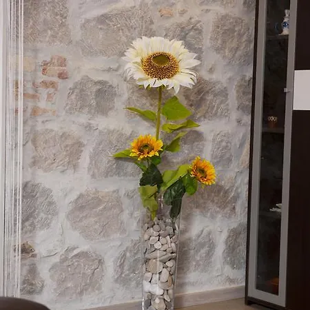 Apartman U Srcu Grada - Ilicev Prolaz Split Exteriör bild